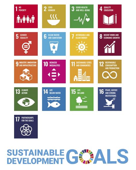 Sustainable Development Goals: 17 Goals to Transform our World.